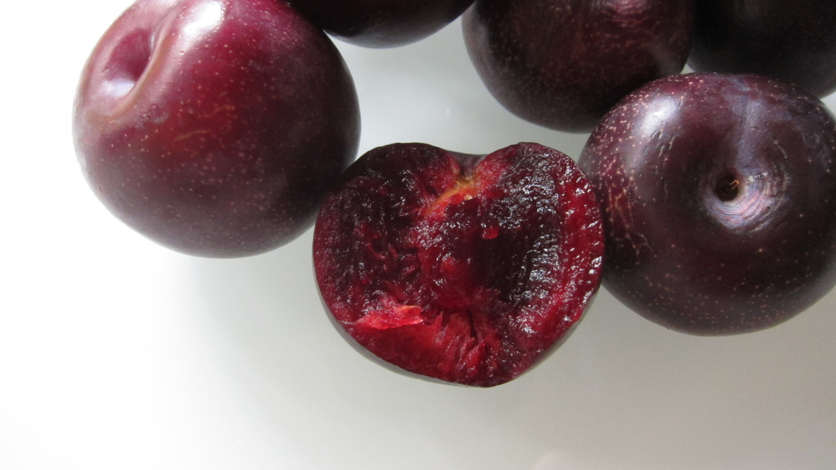 All About Fruit Queen Plums The New Superfood!